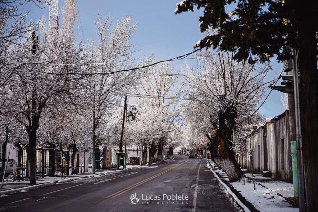 749330094 1558731408949416 6514418595285796320 n