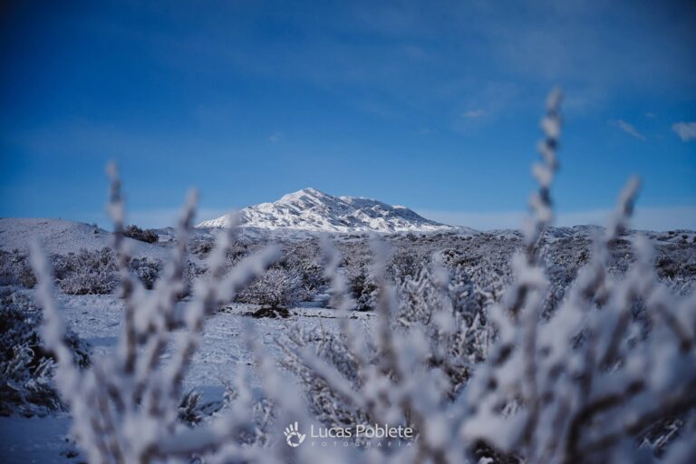 La otra cara del temporal: las imágenes más espectaculares de la nieve en San Juan
